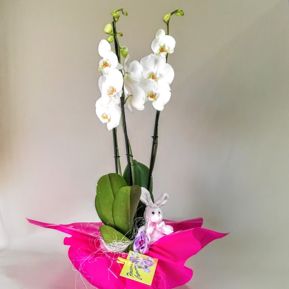 Arreglos florales elegantes en 