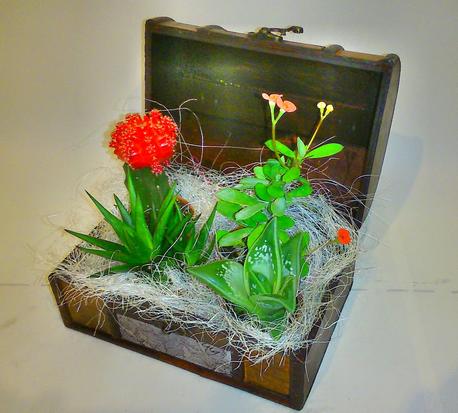 Floristería profesional