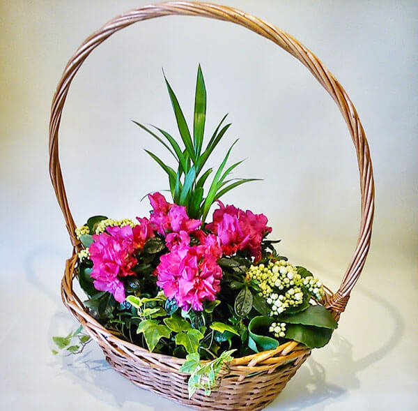 Floristería profesional en  con arreglos florales y servicio a domicilio