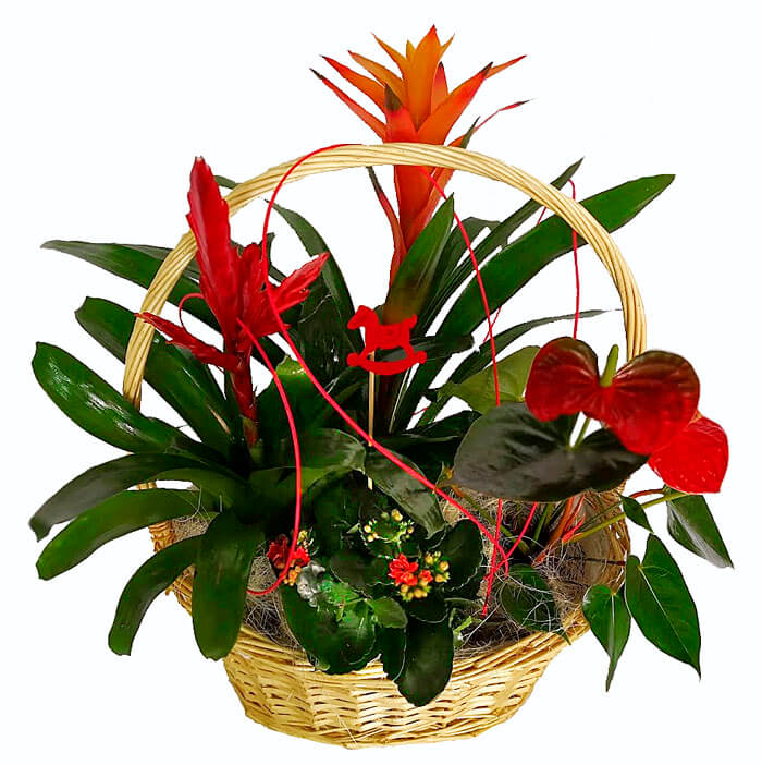 Arreglos florales elegantes en 