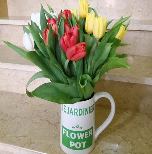 Floristería profesional