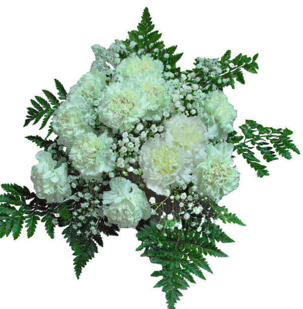 Floristería profesional