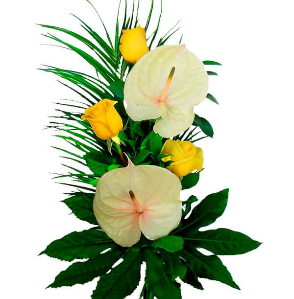 Floristería profesional en  con arreglos florales y servicio a domicilio