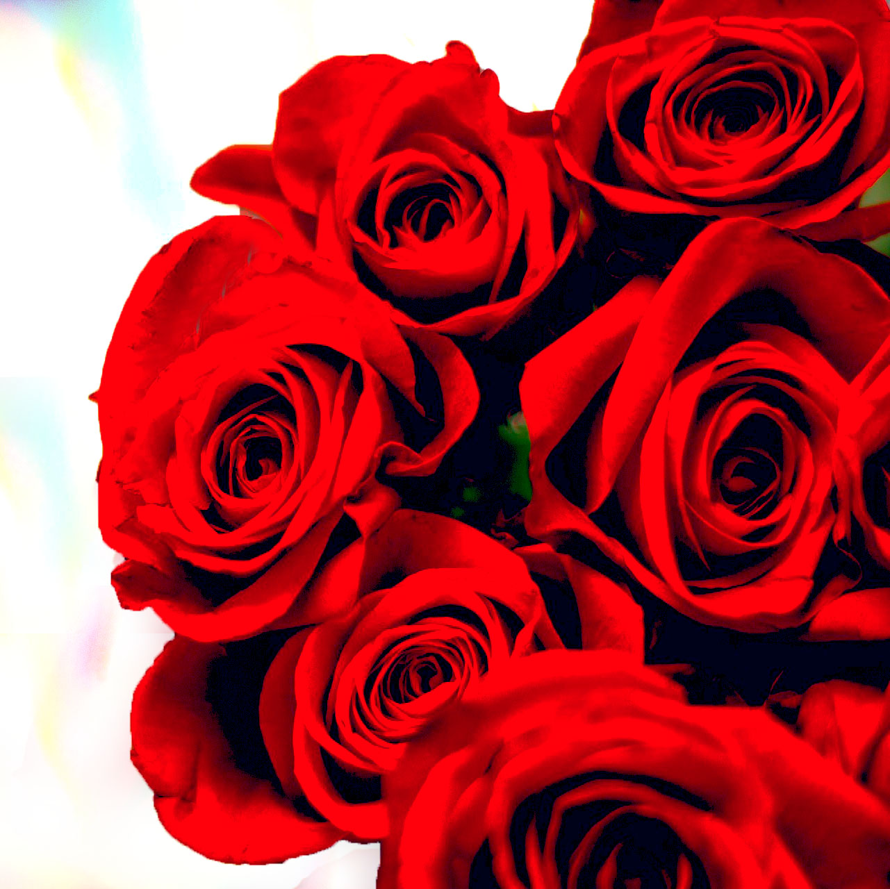 Arreglos florales elegantes en 